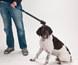 catcher pole dual release catch pole by humaniac animal care equipment services catcher pole dual release catch pole by humaniac animal care equipment services